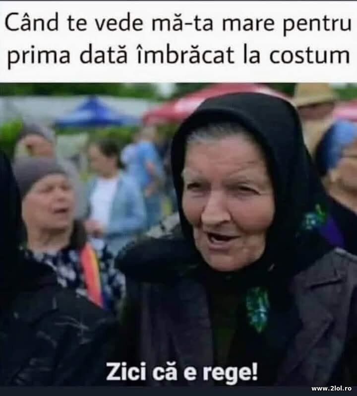 Imbracat la costum | poze haioase