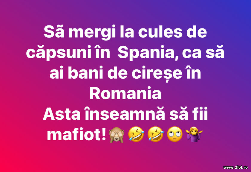 Sa mergi la cules de capsuni in Spania | poze haioase