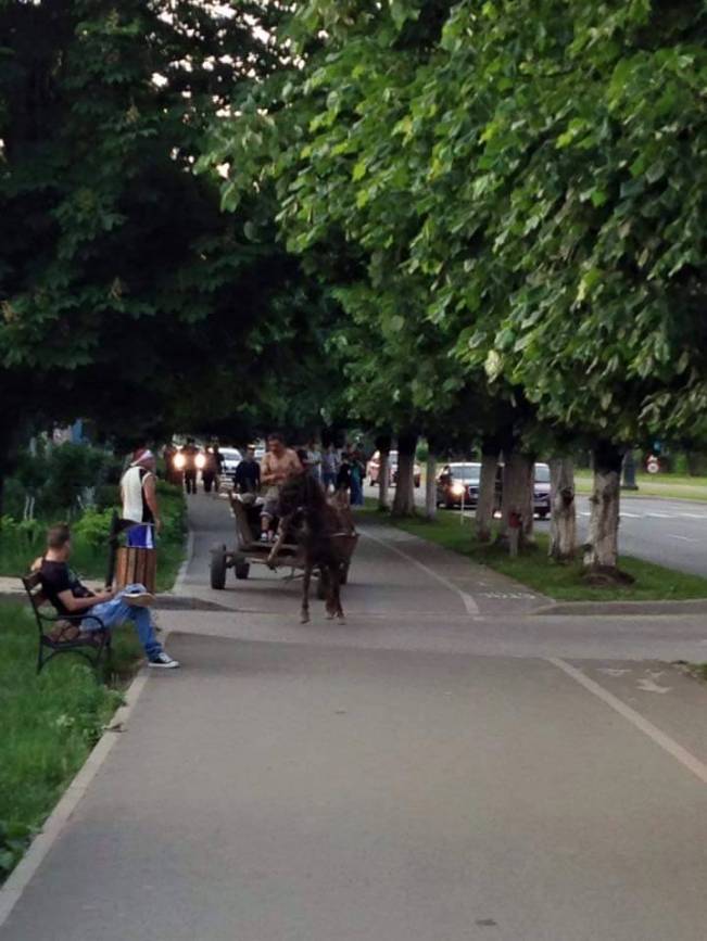 O zi obișnuită în Reșița | poze haioase