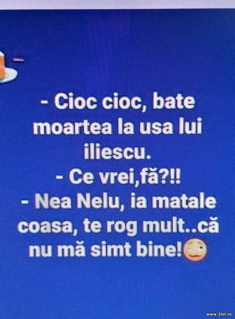 Moartea la usa lui Iliescu | poze haioase