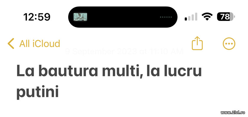 La bautura multi, la lucru putini | poze haioase