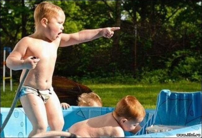 Pe el frățioare, nimeni nu se pune cu noi! | poze haioase