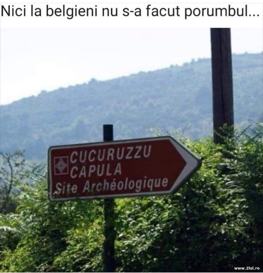 Nu s-a facut cucuruzul la belgieni | poze haioase