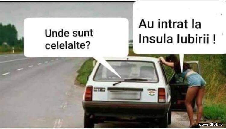 Unde sunt celelalte? | poze haioase
