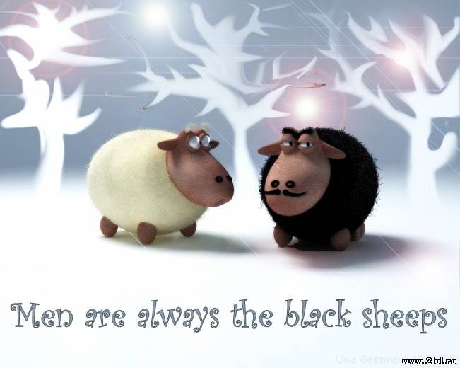 Bărbații sunt întodeauna oaia neagră | poze haioase