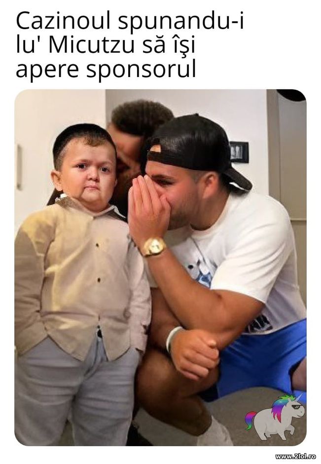Cazinoul spunandu-i lui Micutu sa-si apare sponsor | poze haioase