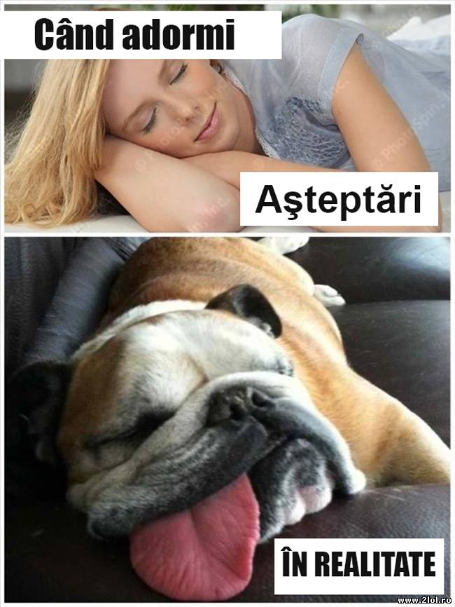 Cum crezi că arăţi atunci când adormi | poze haioase