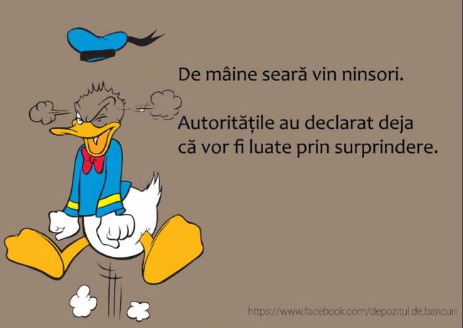 Ninsorile în România | poze haioase