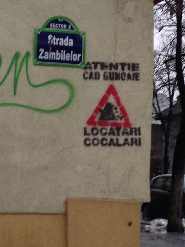 Atenție la gunoaie | poze haioase