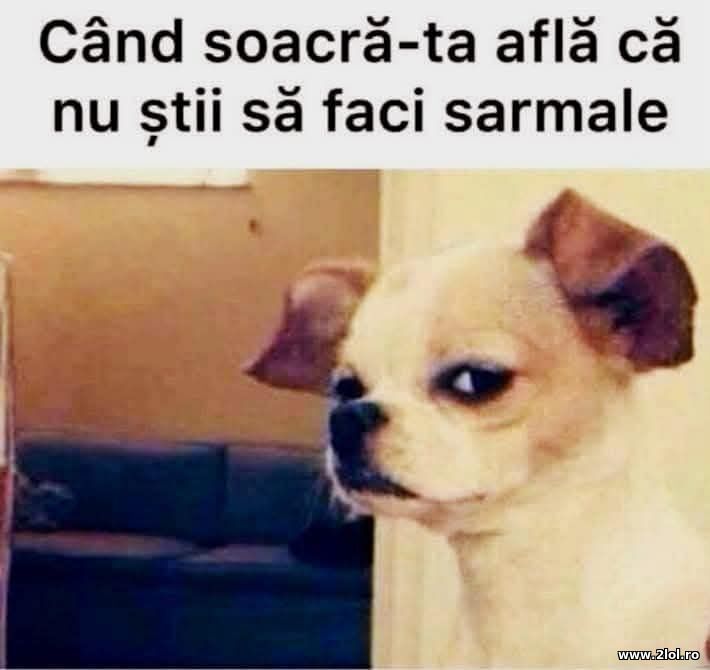 Can soacra-ta afla | poze haioase