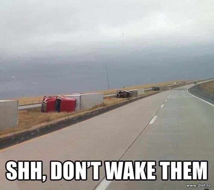 Shh, don't wake them | poze haioase