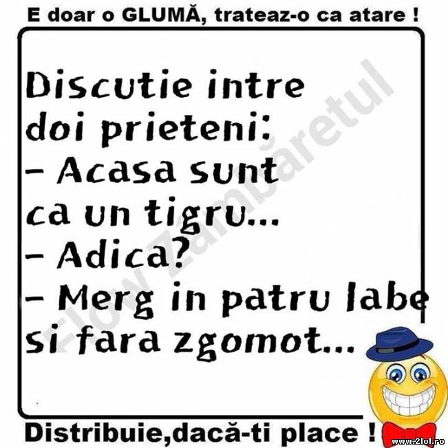 Acasă sunt ca un tigru | poze haioase