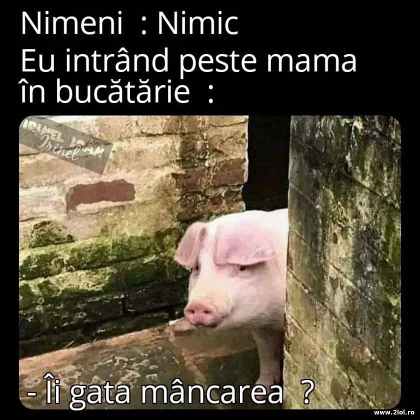 Eu intrand peste mama in bucatarie | poze haioase