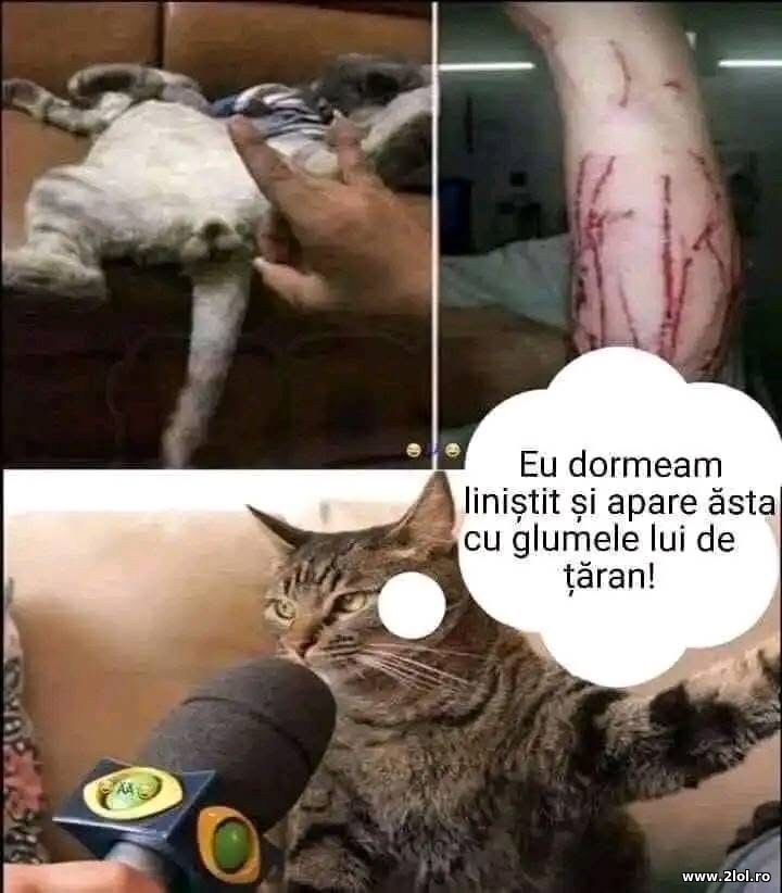 Eu dormeam linistit | poze haioase