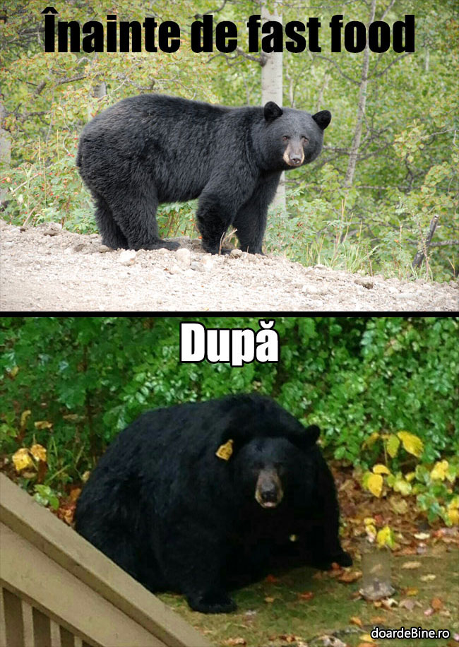 Înainte și după fast food | poze haioase