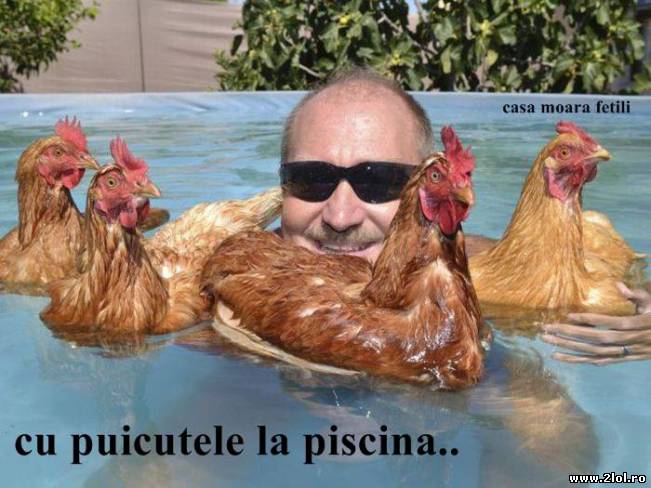 Cu puicuțele la piscină | poze haioase