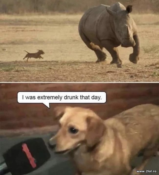 I was extremely drunk that day | poze haioase