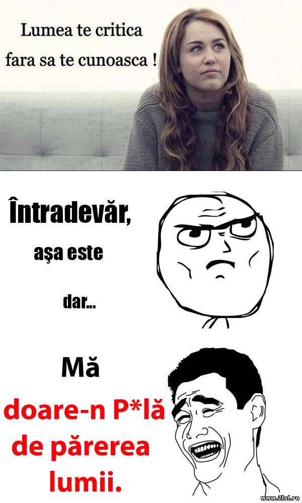 Când lumea te critică fără să te cunoască | poze haioase