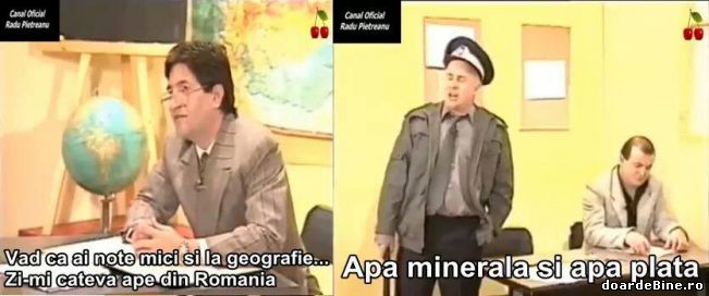 Zi-mi câteva ape din România | poze haioase