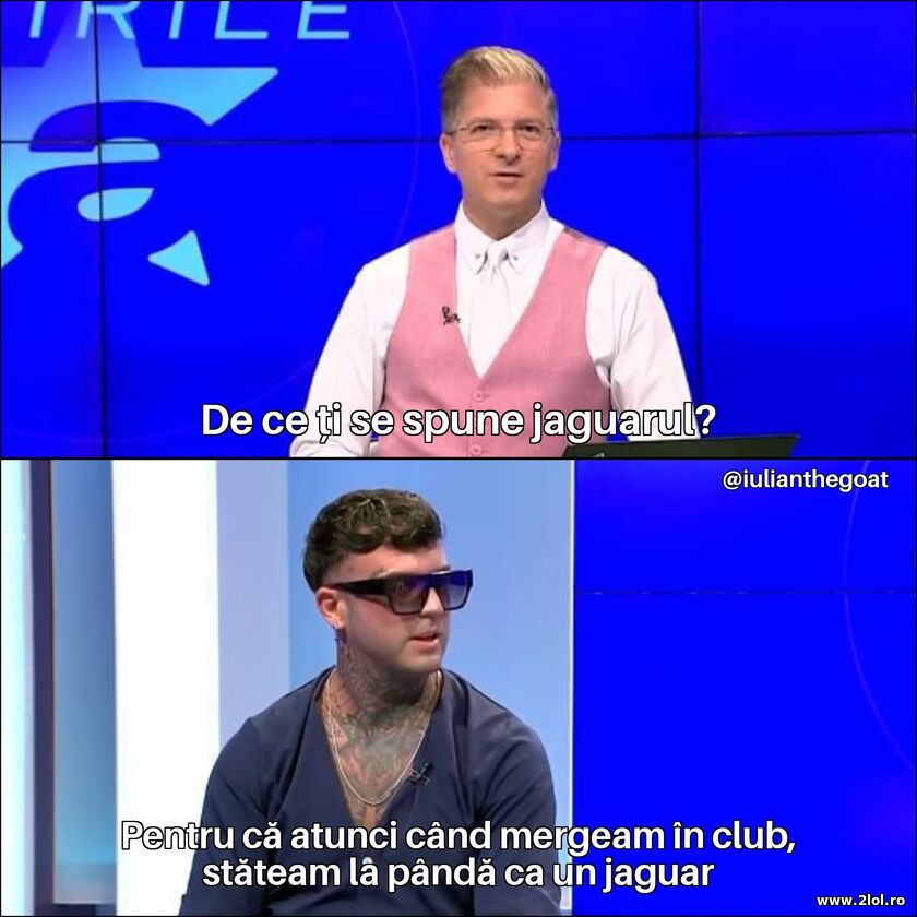 Jaguarul | poze haioase