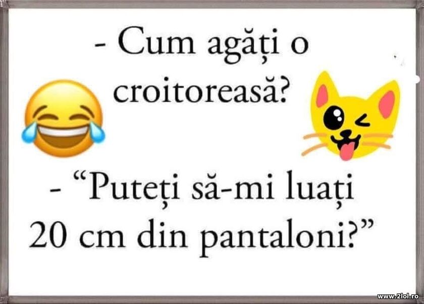 Cum agati o croitoreasa | poze haioase