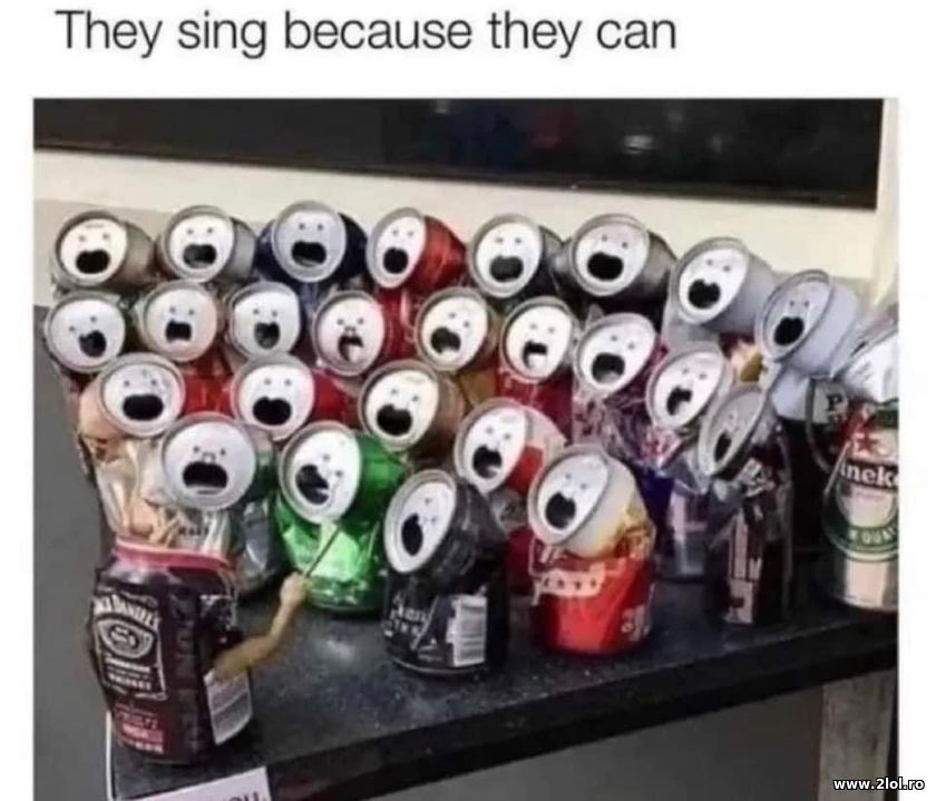 They sing because they can | poze haioase