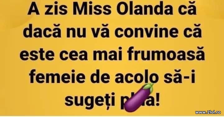 A zis Miss Olanda ca daca nu va convine | poze haioase