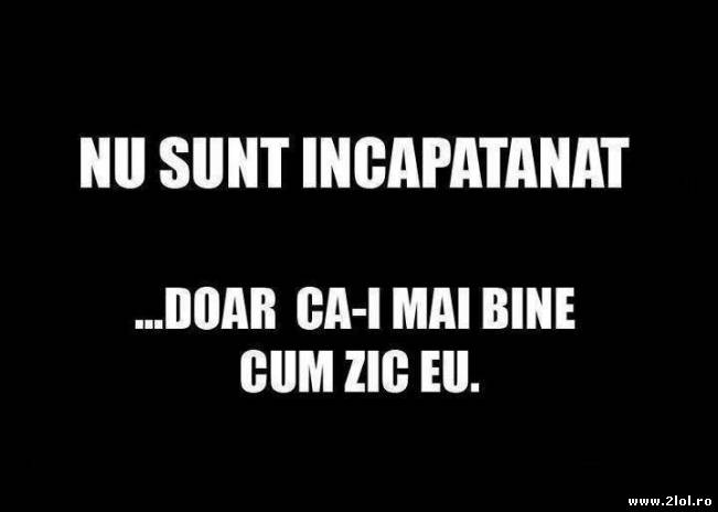 Nu sunt încăpăţănat | poze haioase