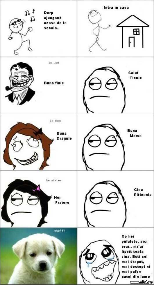 Prioritățile mele atunci când ajung acasă | poze haioase