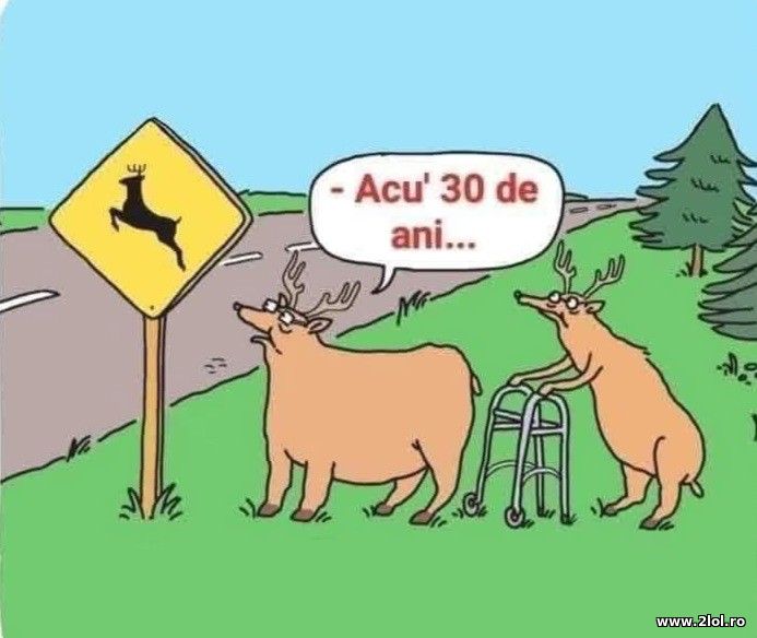 Acu 30 de ani | poze haioase