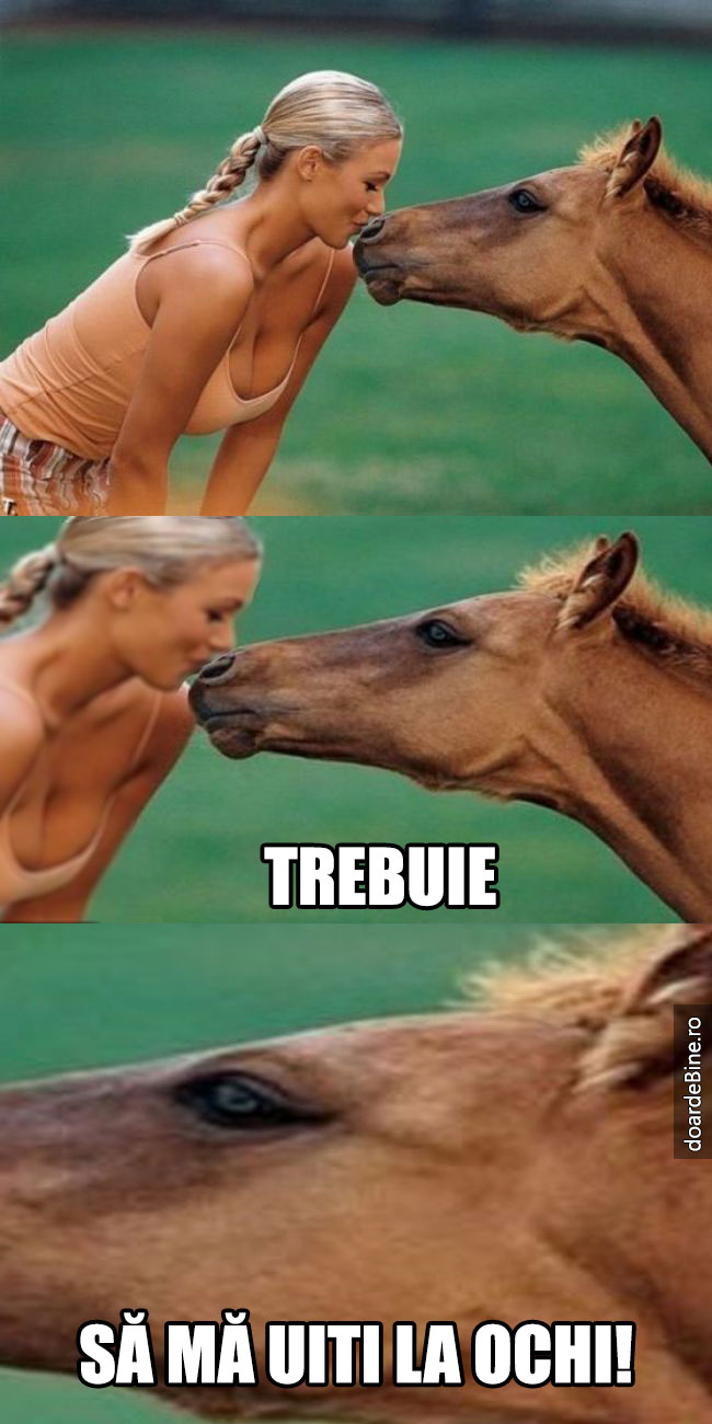 Când un bărbat vorbește cu o tipă dotată | poze haioase