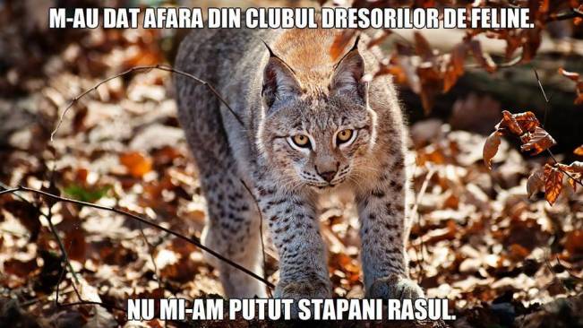 A fost dat afară din cauza râsului | poze haioase