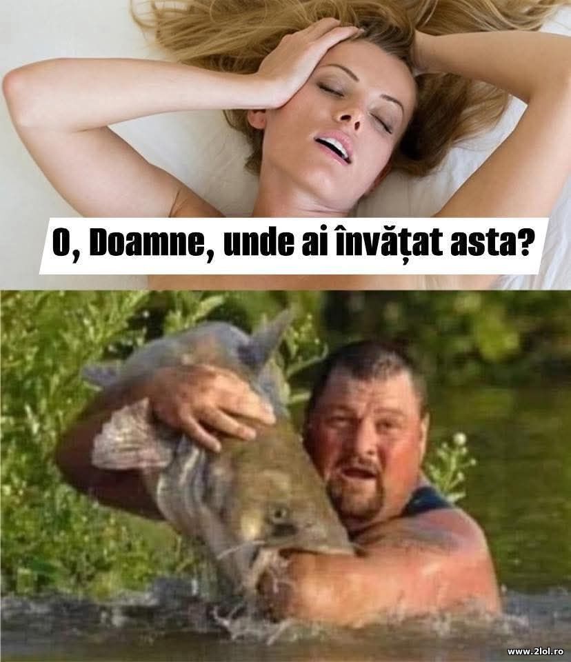 Unde ai invatat asta? | poze haioase