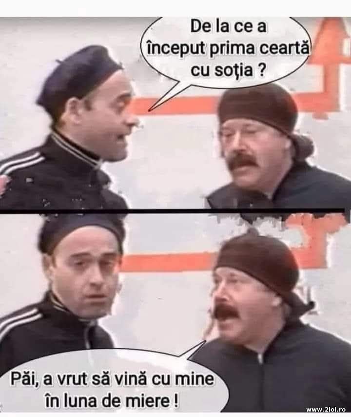 De la ce a inceput cearta cu sotia? | poze haioase