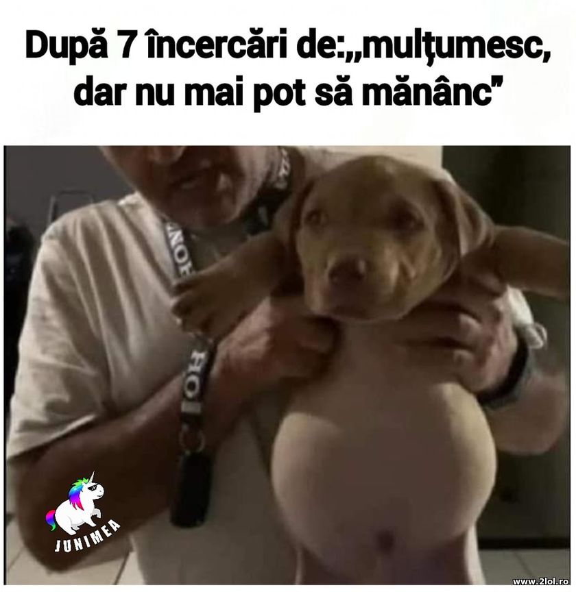 Dupa 7 incercari de multumesc nu mai pot sa mananc | poze haioase