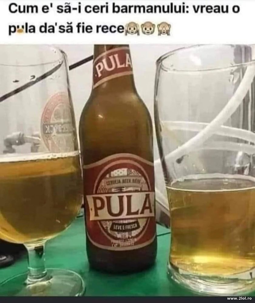Cum e sa-i ceri barmanului o bere rece | poze haioase