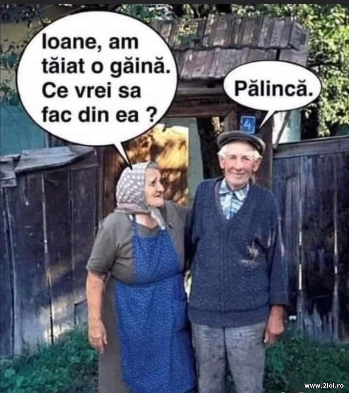 Ce vrei sa fac din ea? | poze haioase