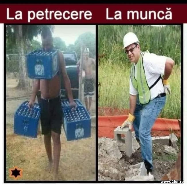 La petrecere si la munca | poze haioase