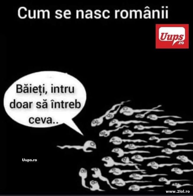 Cum se nasc romanii | poze haioase