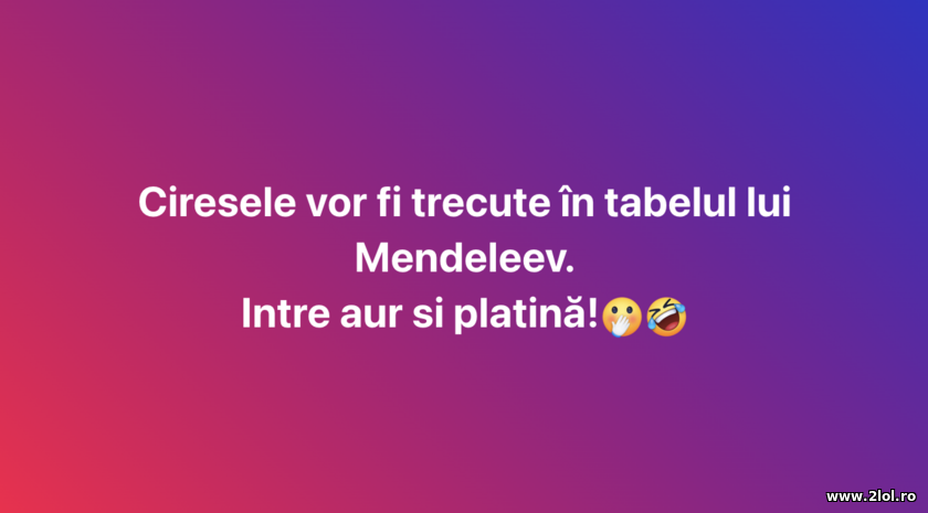 Ciresele | poze haioase