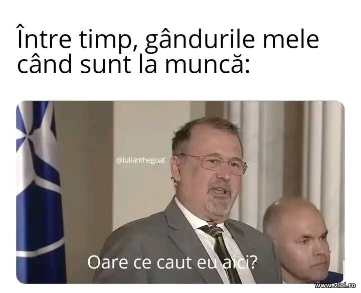 Gandurile mele cand sunt la munca | poze haioase