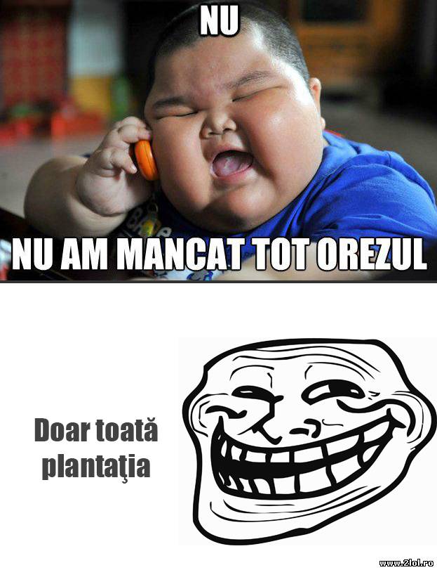 N-a mâncat tot orezul | poze haioase