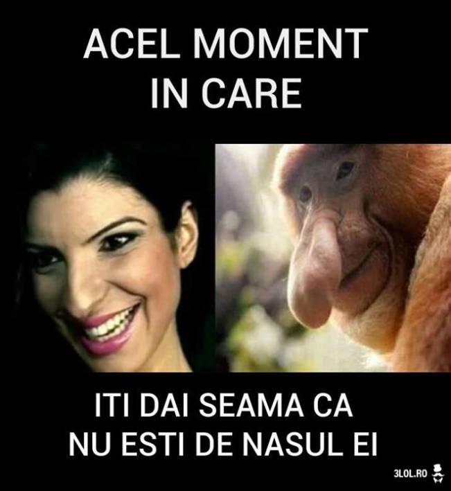 Când nu ești de nasul ei | poze haioase