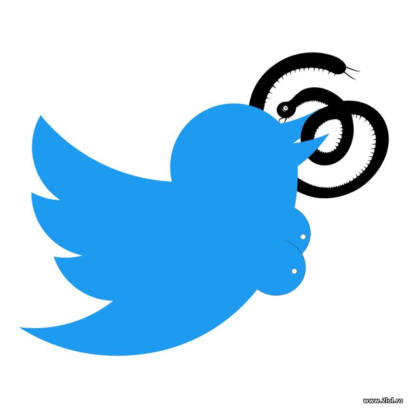 Twitter si Threads by Instagram | poze haioase