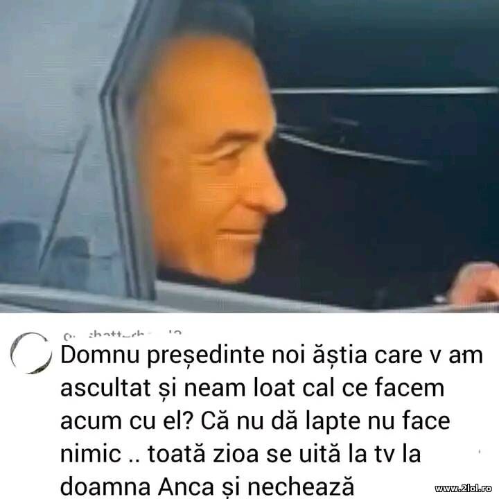 Domnule presedinte | poze haioase