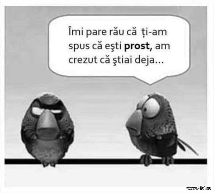 Imi pare rau | poze haioase