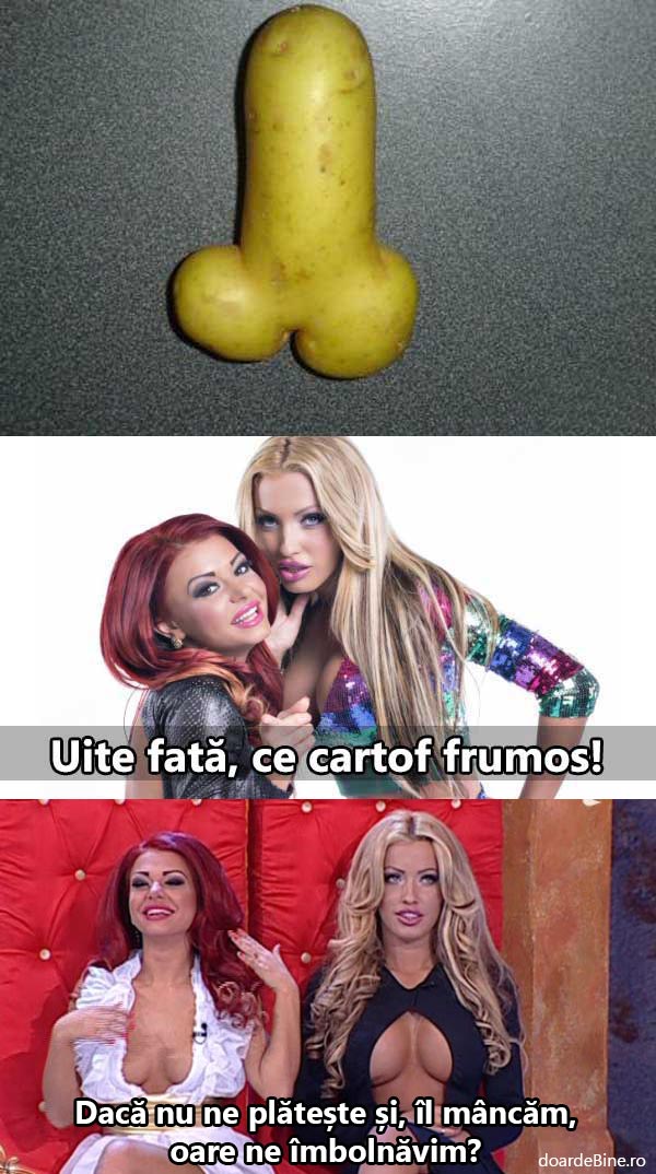 Asistentele și cartoful frumos | poze haioase