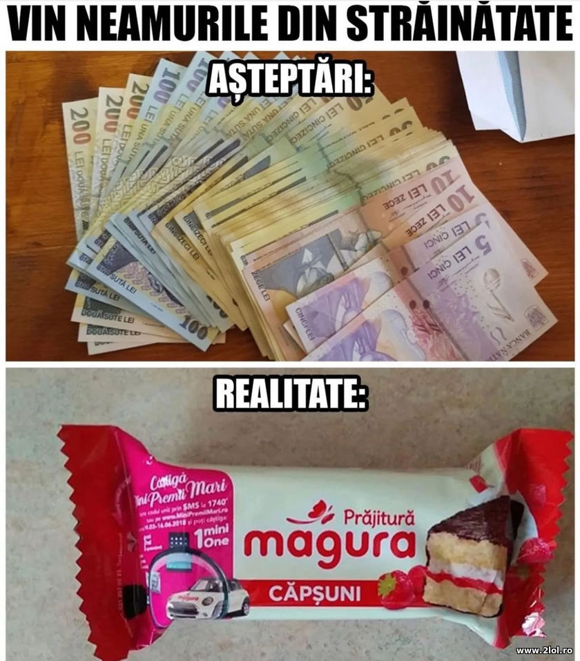 Vin neamurile din strainatate. Asteptari realitate | poze haioase