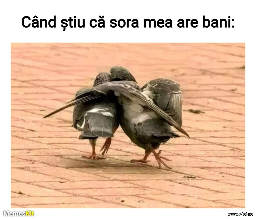 Cand sora mea are bani | poze haioase