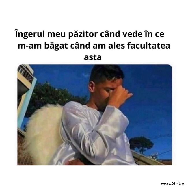 Ingerul pazitor, cand am ales facultatea | poze haioase